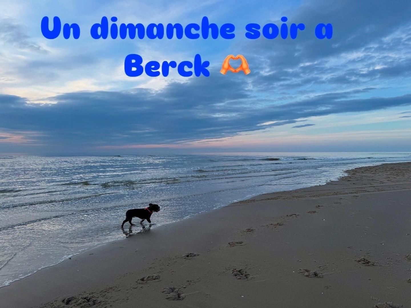 Le Paillette T2 400 M De La Plage Berck Ngoại thất bức ảnh